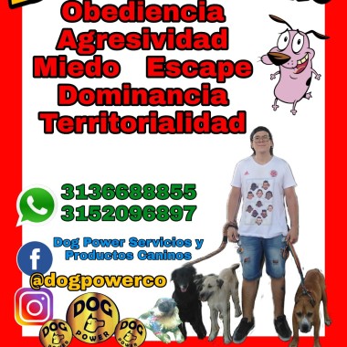 Dog Power Servicios y Productos Caninos