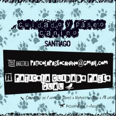 Paticola Paseo Canino