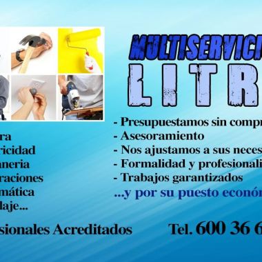 Multiservicios litri