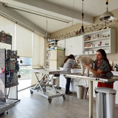 CLINICA VETERINARIA MONDRAGON
