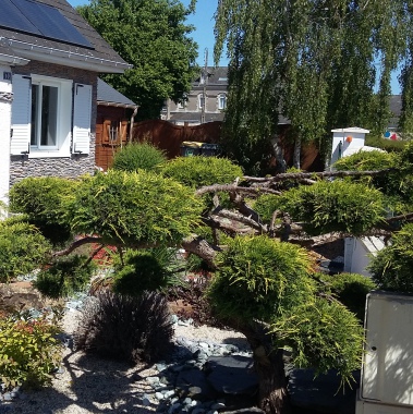 VISUELJARDIN