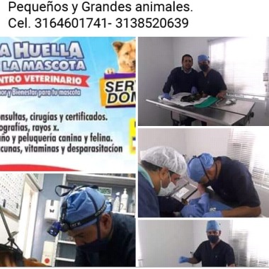 La Huella de la Mascota