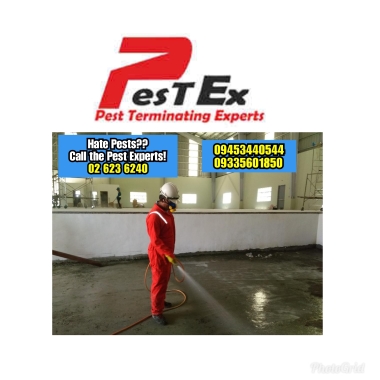Pest Ex Pest Control Services