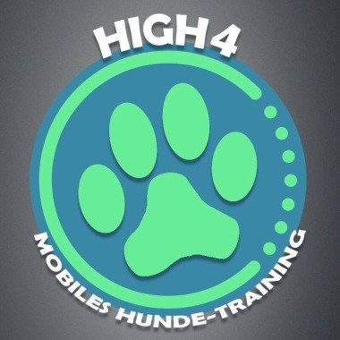 High4 Mobiles Hundetraining 