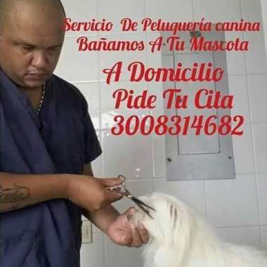 Adiestramiento  canino rec