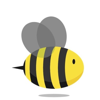 Busy Bee Organizing