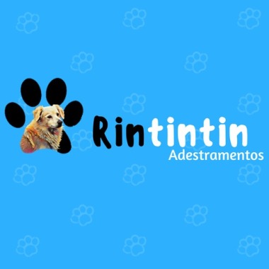 Rintintin Adestramento