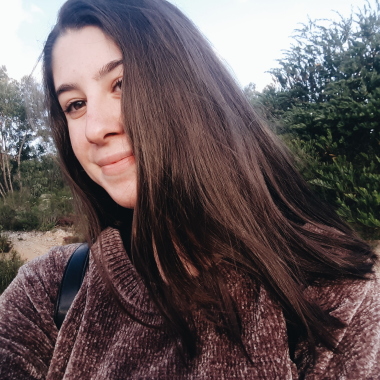 Dog Sitter ou Dog walker