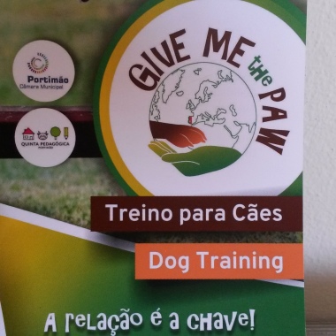 GIVE ME the PAW - Dog training 
