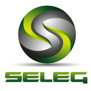 Seleg Serviços