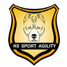K9 Segurança e Adestramento