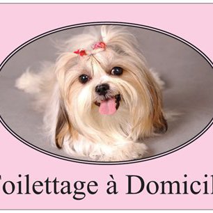 Toilettage canin à domicile ( Emmanuelle )