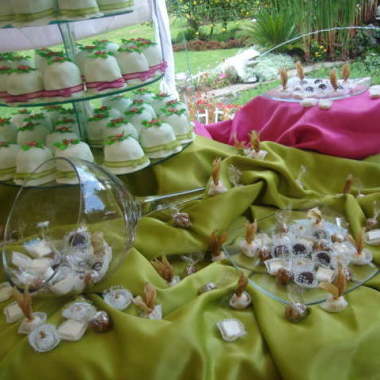 Organizacion de eventos  f.g.b