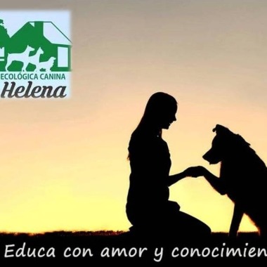 Adiestramiento canino a domicilio /Paseos