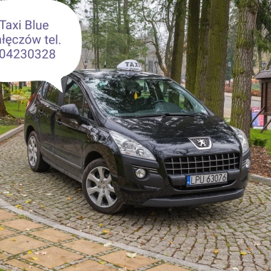 Waldemar Gronkowski Taxi Blue