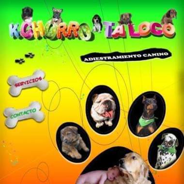 Adiestramiento Canino Valle de los Chillos