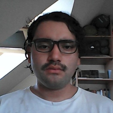 Mauricio Meneses
