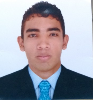 Ofrezco mi servicio como ingeniero de sistemas
