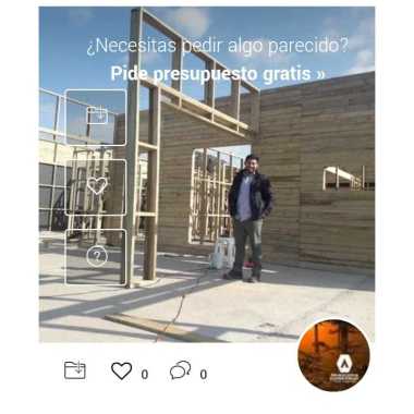 Araucaria construc