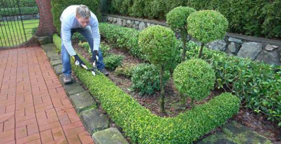 Jardin Services Limonois