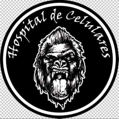 Sr gorilla