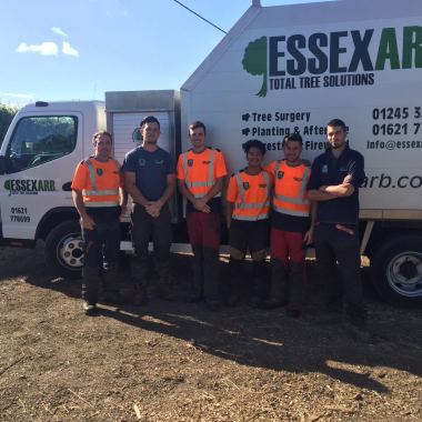 Essex Arboriculture Ltd