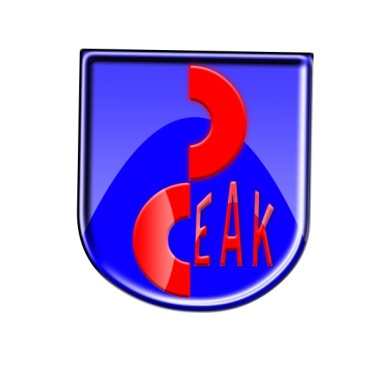 Depeak technology services