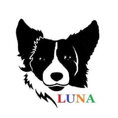 Luna Szkolenie Psów