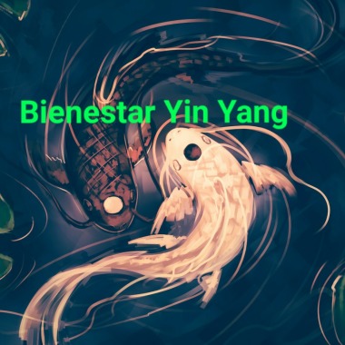 Bienestar Yin Yang