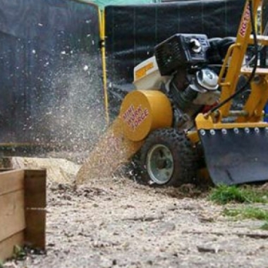 Stump Removal Services