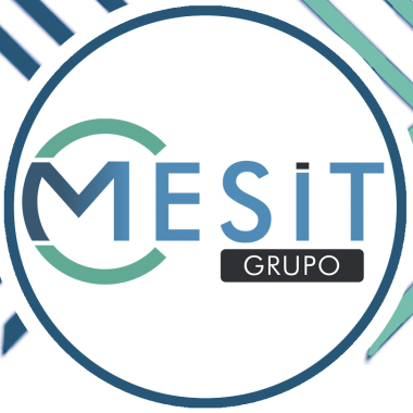 Grupo Cmesit