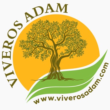 Viveros Adam