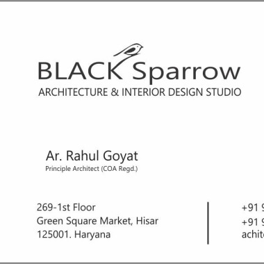 BLACK Sparrow