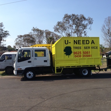 Uneeda tree management