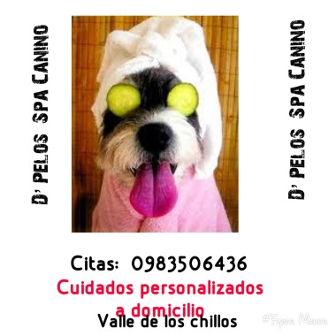 Spa canino D’ Pelos