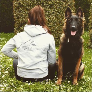 Sirius Training - Education / Promenade Canine