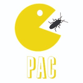 PAC serviços