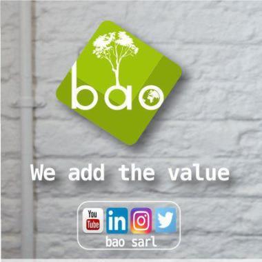 Bao Sarl