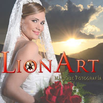Lion Art Fotografía