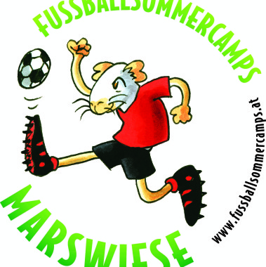 Fussball Sommer Camps
