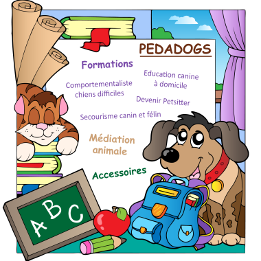 Pedadogs