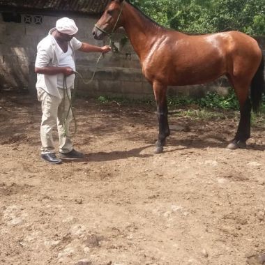 Fg Transporte Y Mudanza