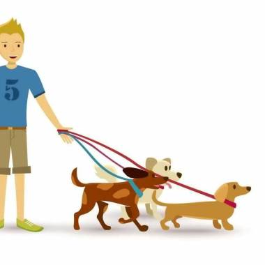 Paseador canino