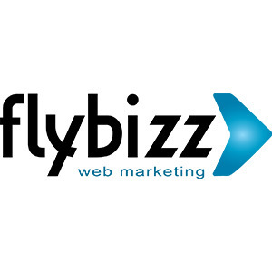 Flybizz Agência de Marketing Digital