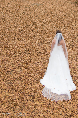 In Wedding, Servicio Integral de Bodas