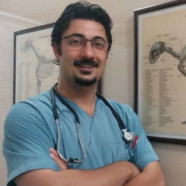 Bilgin Veteriner Kliniği