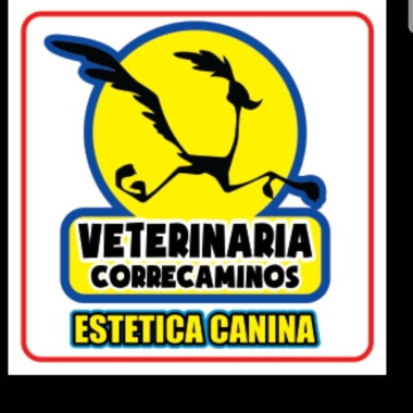 Veterinaria correcaminos
