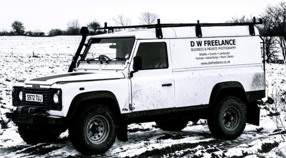 DW Freelance