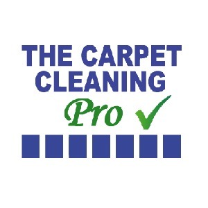 The Carpet Cleaning Pro