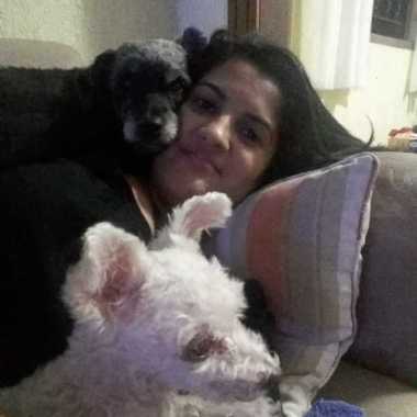 Pri passeio com cães